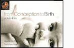 Conception To Birth